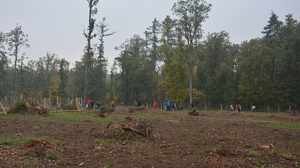 Podkomorské lesy – revír Obora