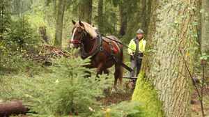 Hluboká nad Vltavou